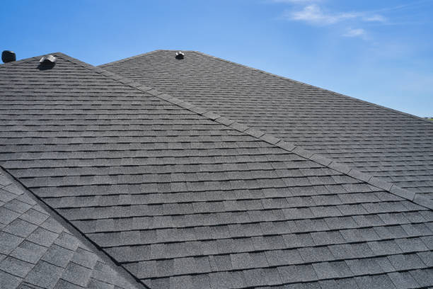 Best Sheet Metal Roofing  in Petersburg, IL