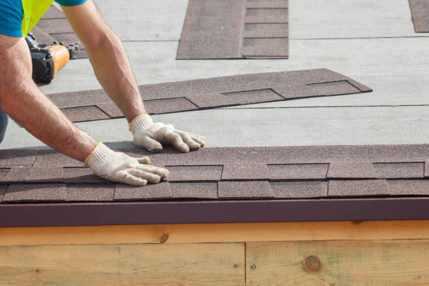 Best Roof Maintenance and Cleaning  in Petersburg, IL